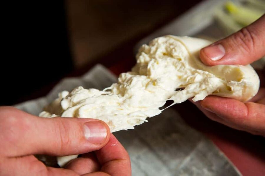 Florence: Mozzarella Making Workshop with Wine Tasting - Eating what you make, plus a seasonal meal