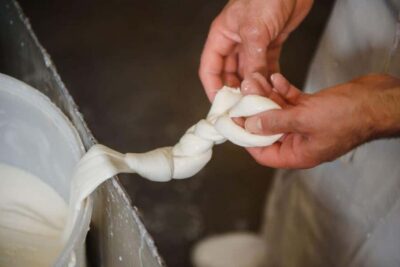 Mozzarella Making Workshop with Wine Tasting