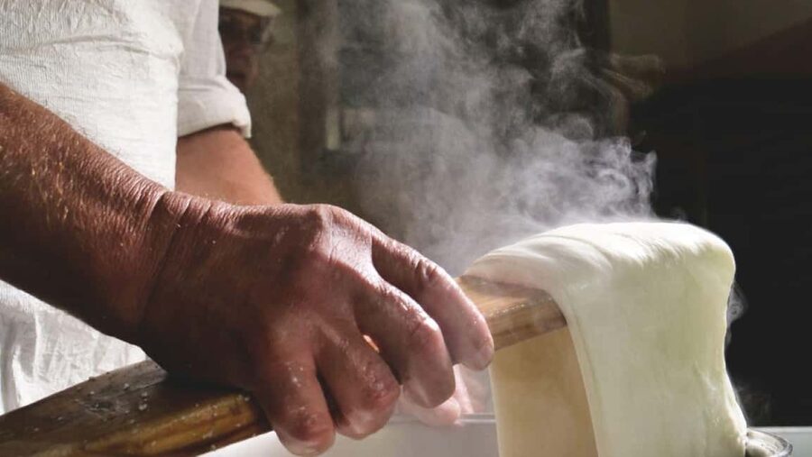Florence: Mozzarella Making Workshop with Wine Tasting - Who will enjoy it most