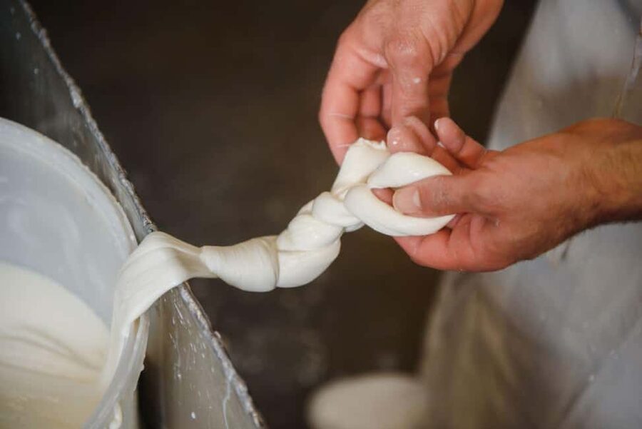 Florence: Mozzarella Making Workshop with Wine Tasting - A welcome Prosecco sets the tone