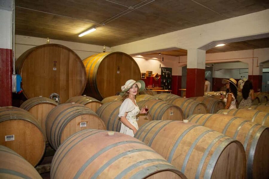 Florence: The secret of wine, cheese and olive oil at a farm - Key points at a glance