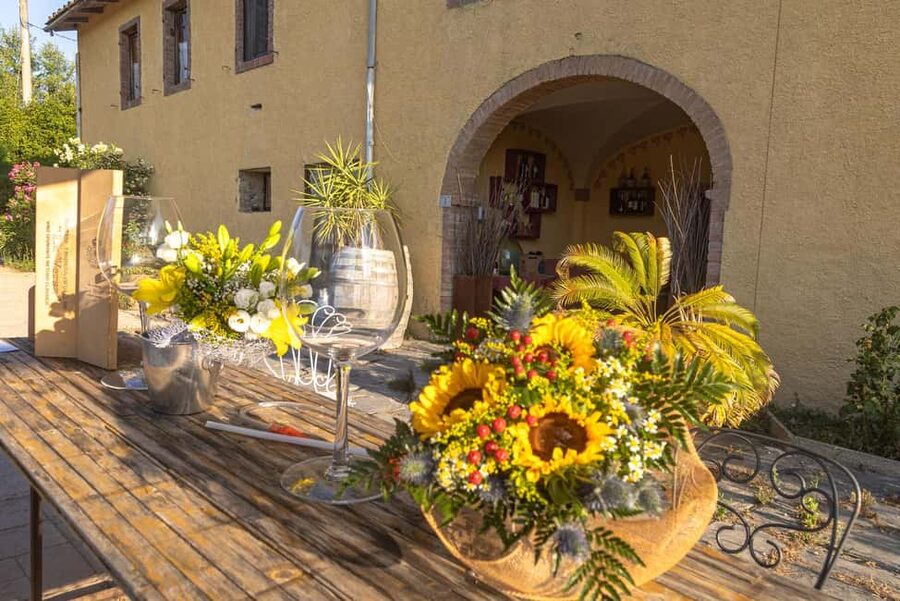 Florence: The secret of wine, cheese and olive oil at a farm - Who will enjoy this farmhouse visit?