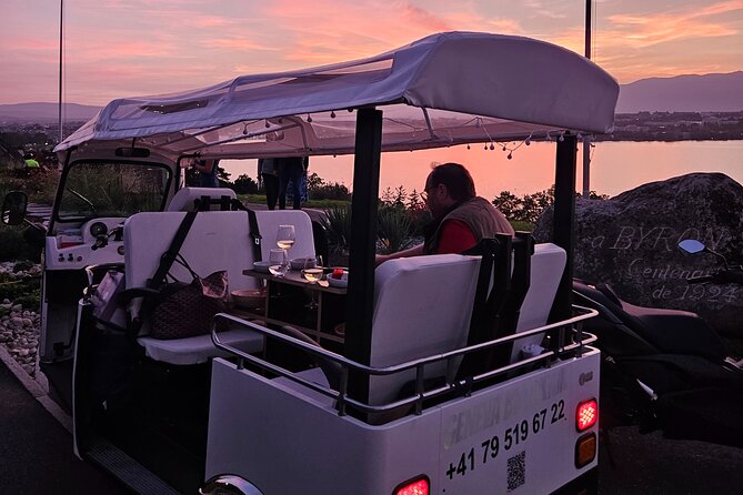 Fondue and wine private Tuk Tuk tour in Geneva - Bastions Park and the Reformation Wall