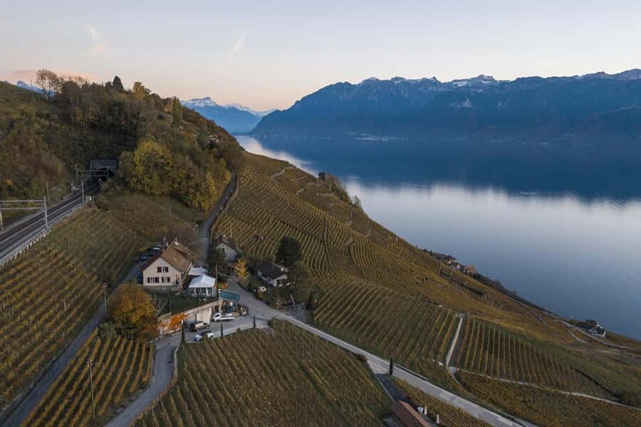 Fondue in the heart of the Lavaux vineyard - A fondue table among the Lavaux vines