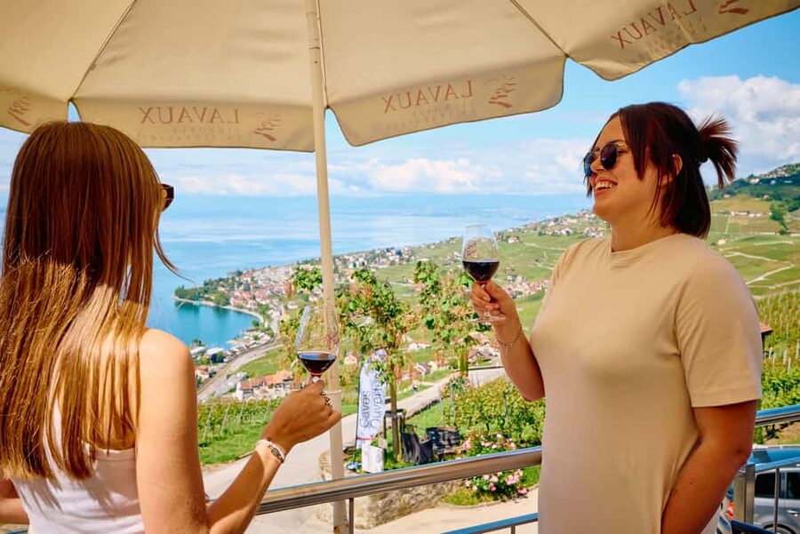 Fondue in the heart of the Lavaux vineyard - What happens during the two-hour visit
