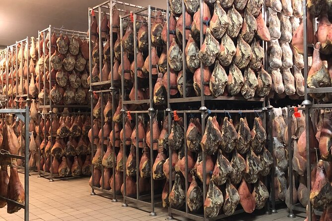 Food Excellences:Prosciutto, Parmigiano, Balsamic,Lunch,Transport - Should you book it?