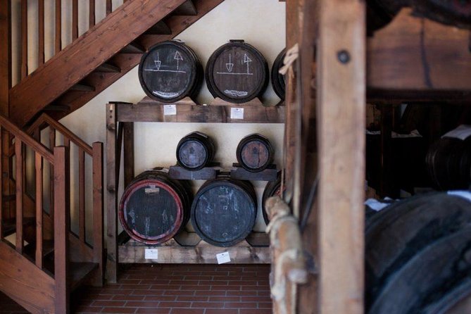 Food Tour: Parmigiano, Balsamic, Red Wine, lunch,transport - Why this tour works for food lovers in Bologna