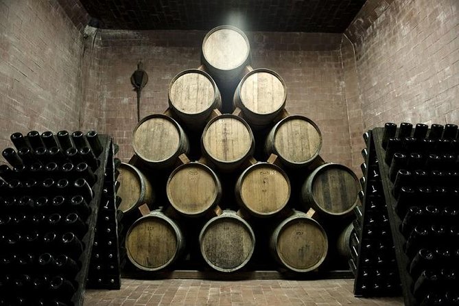 Food Tour: Parmigiano, Balsamic, Red Wine, lunch,transport - Acetaia Pedroni: the day’s most distinctive stop