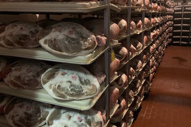 Food Valley: Parmesan, Prosciutto, Balsamic,Wine,Ferrari Day Tour - A full day in Emilia-Romagna, one tasting at a time