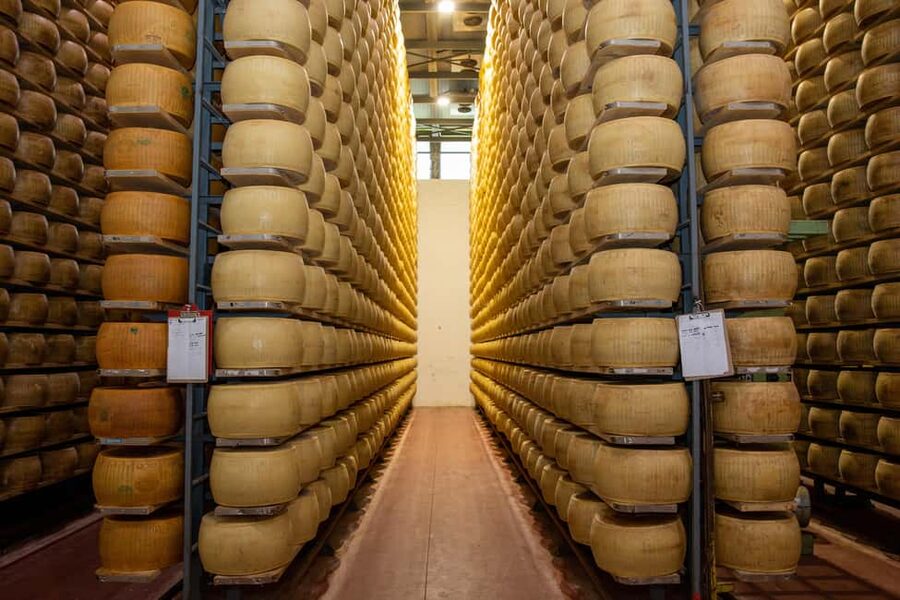 Formigine: Parmigiano tour with full tasting - Why this Formigine farm visit feels different