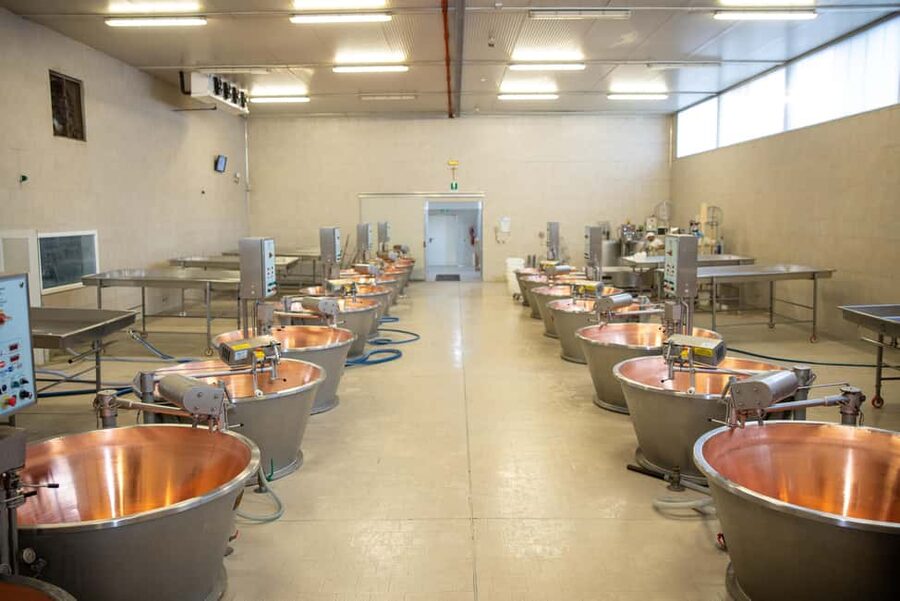 Formigine: Parmigiano tour with full tasting - Start at the farm shop in Azienda Agricola Moscattini