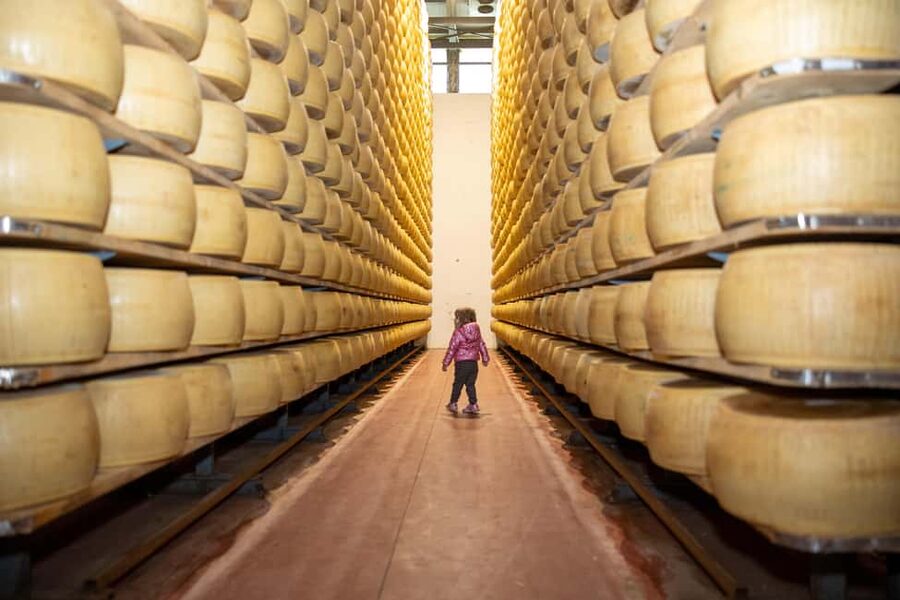 Formigine: Parmigiano tour with full tasting - See the first three days, then the brine