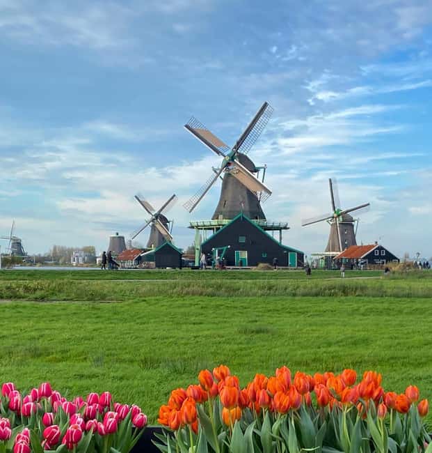From Amsterdam; Alkmaar Cheese market & Zaanse Schans - Why this tour works as a short Dutch day out