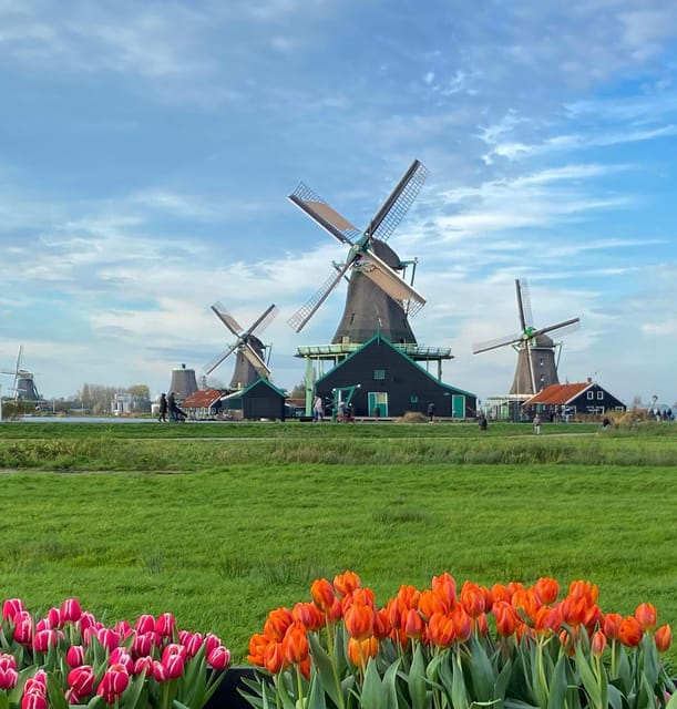 From Amsterdam; Alkmaar Cheese market & Zaanse Schans - Who should book this experience?