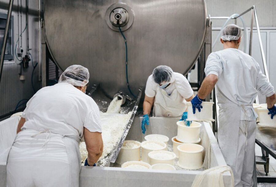 From Bologna: Parma Cheese & Ham Factory Tours and Tastings - Why this Parma food tour is worth your day