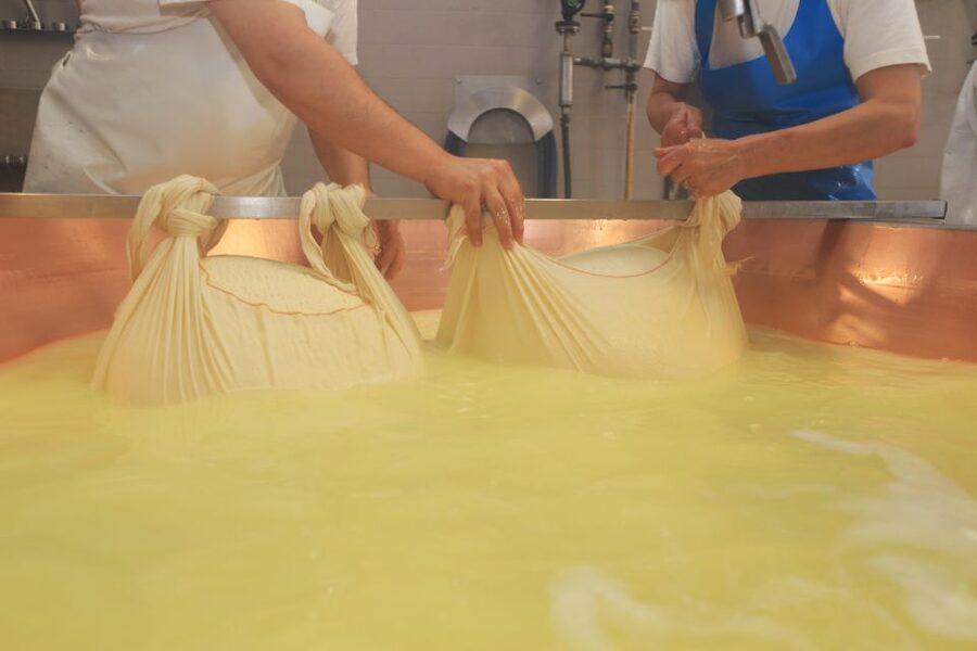 From Bologna: Parma Cheese & Ham Factory Tours and Tastings - Tasting Parmigiano Reggiano by age