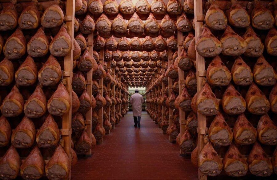From Bologna: Parma Cheese & Ham Factory Tours and Tastings - The guides make the difference