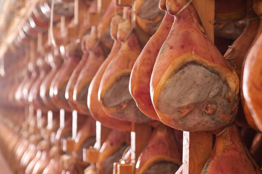 From Bologna: Parma Cheese & Ham Factory Tours and Tastings - Who should book this experience