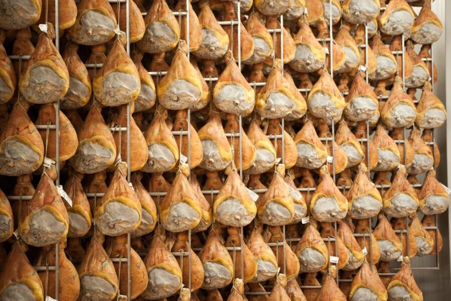 From Bologna: Parma Cheese & Ham Factory Tours and Tastings - Should you book the Parma cheese and ham tour?