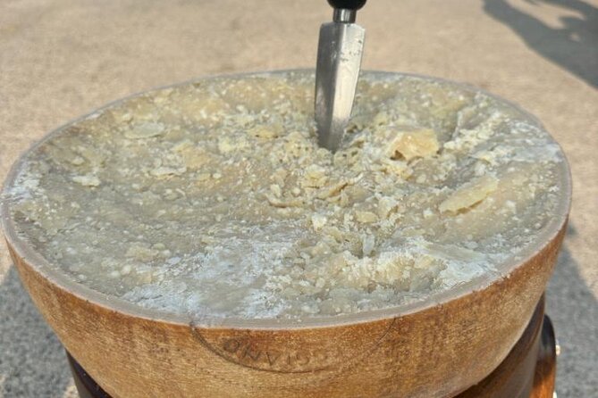 From Bologna: Parmesan Cheese & Balsamic Vinegar Tour+Lunch - Why Parmigiano and balsamic belong together