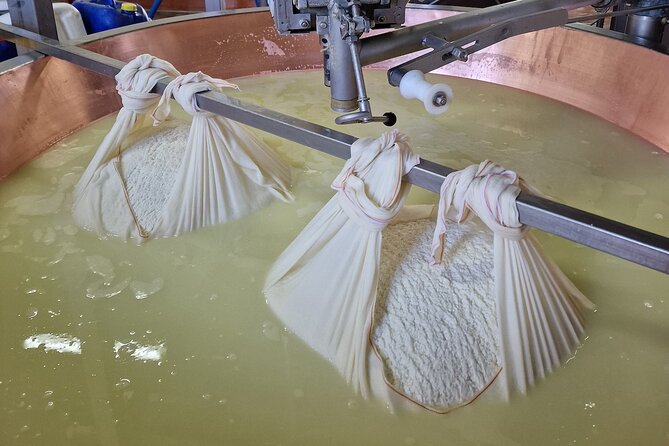 From Bologna: Parmesan Cheese & Balsamic Vinegar Tour+Lunch - Who will enjoy this most