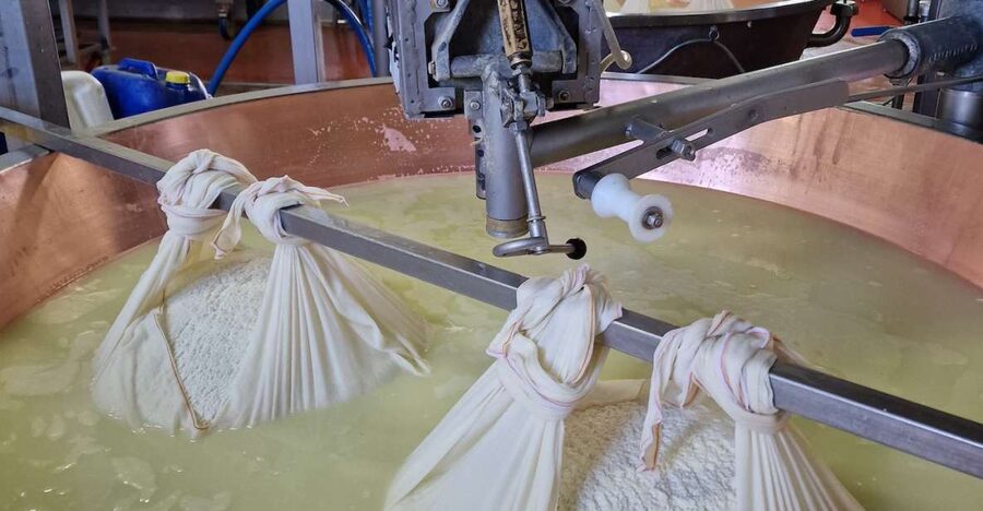 From Bologna: Parmesan, Vinegar, Lambrusco with Transfer - Inside a Parmigiano Reggiano dairy