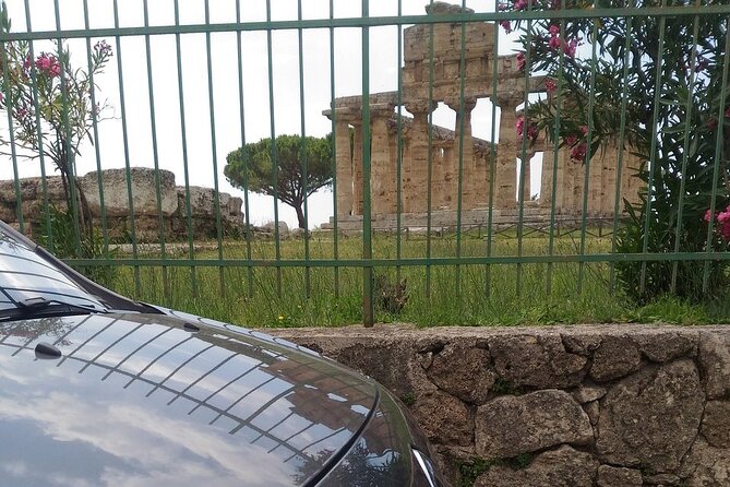 From Castellabate: Paestum Temples+Mozzarella Farm - Private minivan transport and the guide question