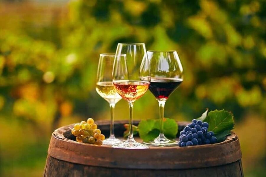 From Chania: Olive Oil, Wine, Cheese & Honey Tasting Tour - The ancient Olive Tree of Vouves