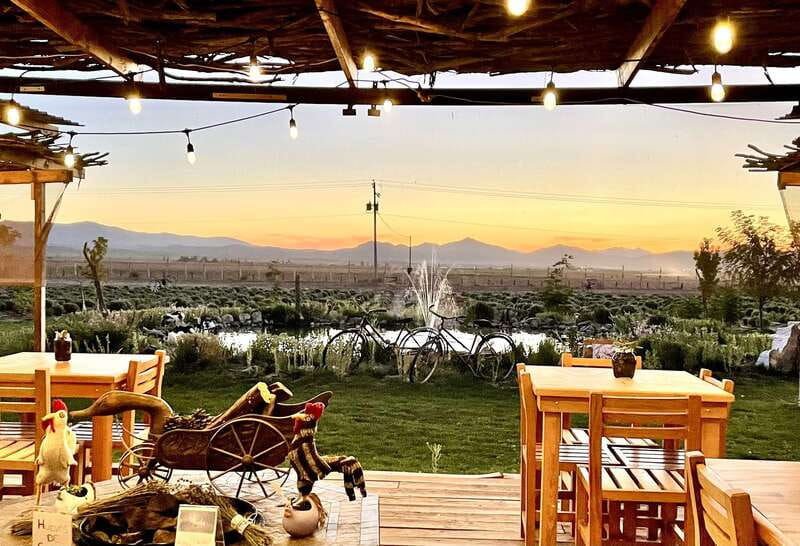 From Ensenada: Ojos Negros Valley Cheese & Wine Tasting Tour - Key points to know before booking