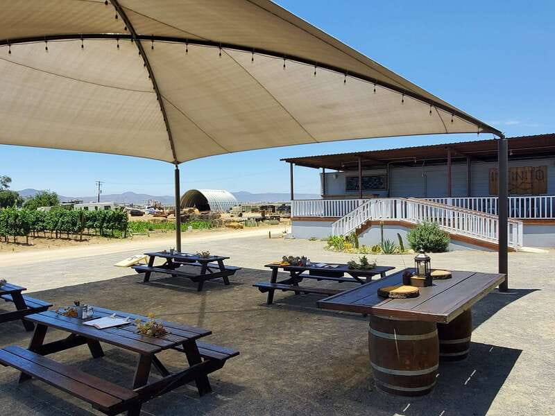 From Ensenada: Ojos Negros Valley Cheese & Wine Tasting Tour - Who should book this Ojos Negros tour