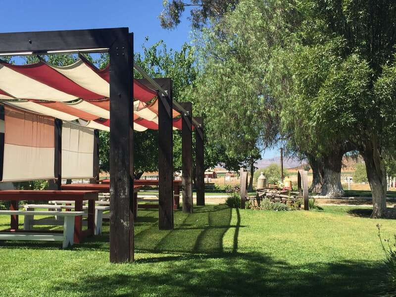 From Ensenada: Ojos Negros Valley Cheese & Wine Tasting Tour - Tasting inside Marcelo’s underground cellar