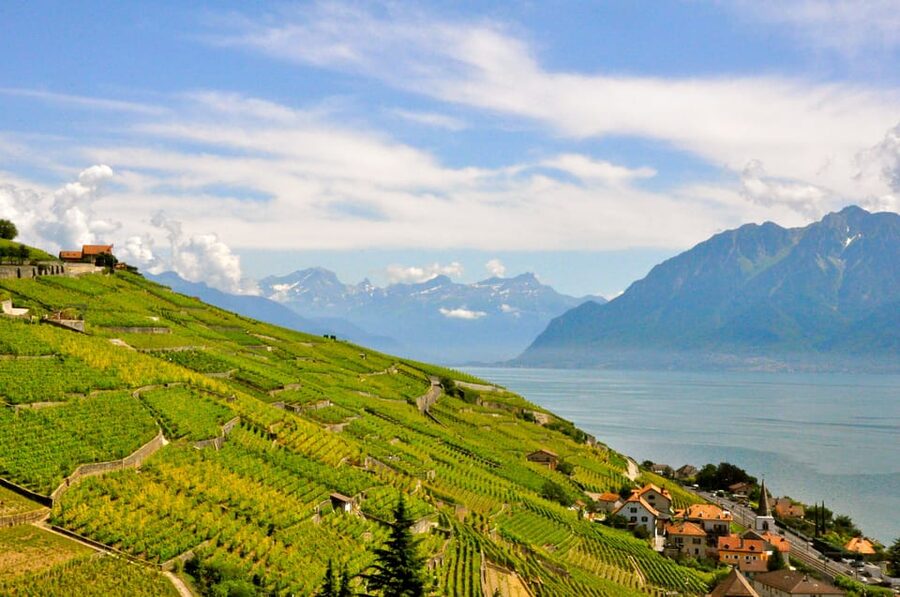 From Geneva: Gruyères Private Tour Cheese & Chocolat Factory - Lavaux terraces and Lake Geneva views