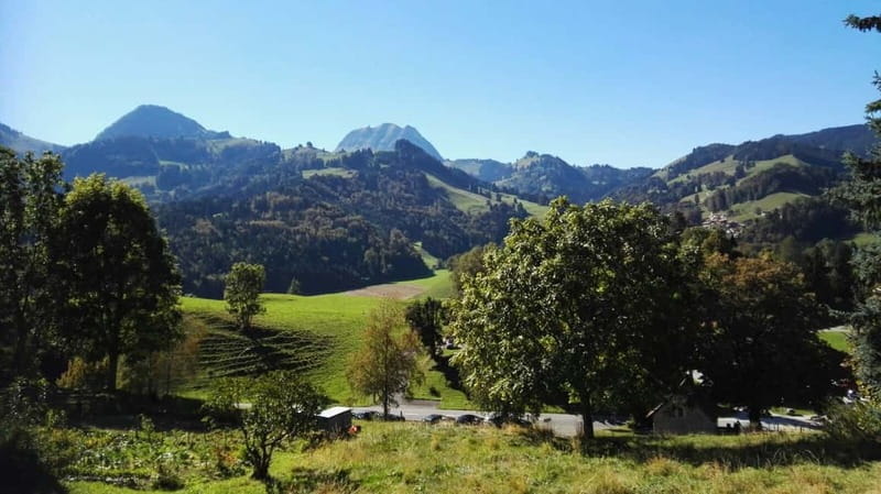 From Geneva: Gruyères Tour with Cheese & Chocolate Factories - The optional GoldenPass Panoramic train from Montbovon
