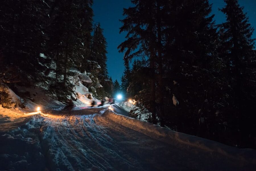 From Interlaken: Night Sledding with Cheese Fondue Dinner - Should you book the night sledding and fondue tour?