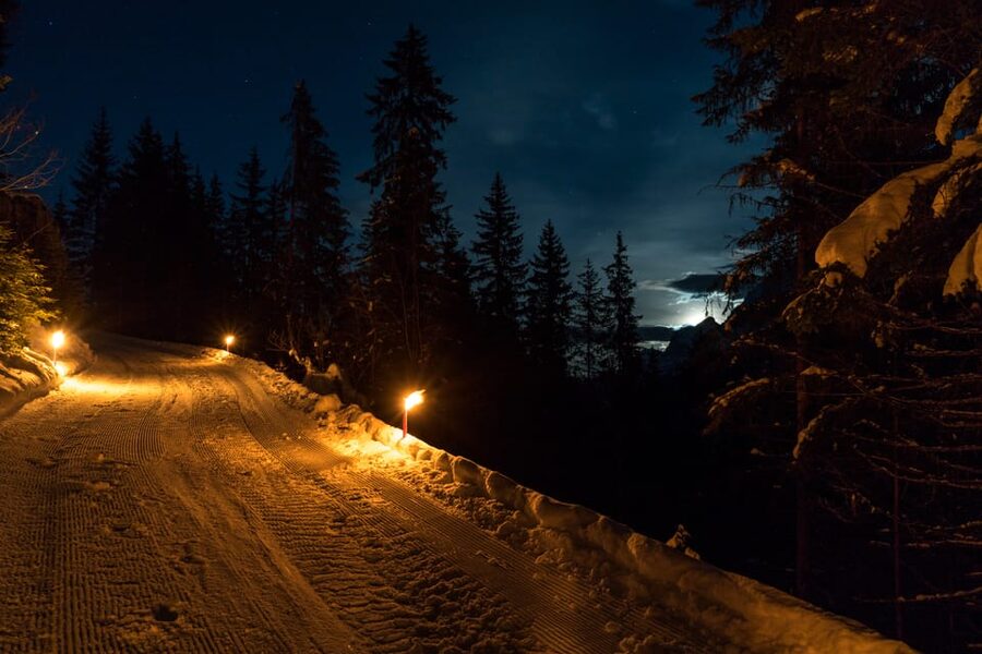 From Interlaken: Night Sledding with Cheese Fondue Dinner - Is the $166 price fair?
