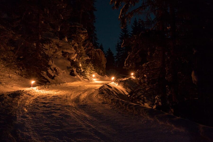 From Interlaken: Night Sledding with Cheese Fondue Dinner - Who will enjoy this evening most?
