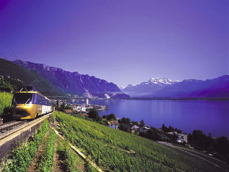 From Lausanne: Gruyères Tour with Train, Chocolate & Cheese - Key points to know before you book