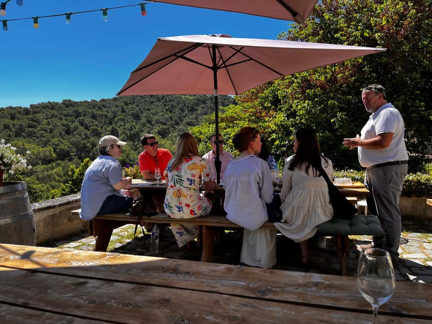From Marseille: Aix en Provence Wine and Cheese Tour - Two wineries and one goat farm in Provence