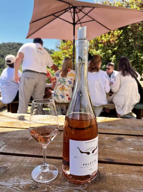 From Marseille: Aix en Provence Wine and Cheese Tour - A goat farm and the cheese-making process