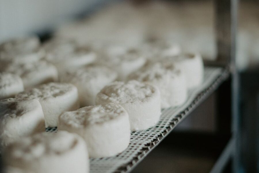 From Marseille: Aix en Provence Wine and Cheese Tour - What the small group changes