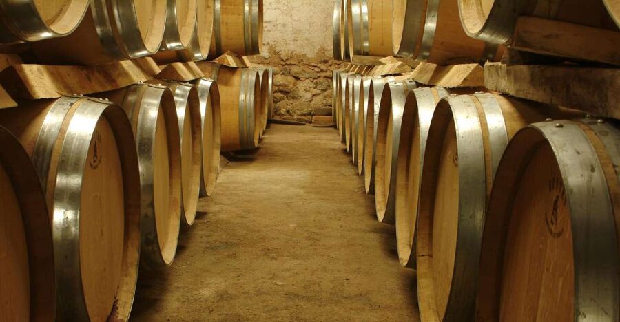 From Marseille: Aix en Provence Wine and Cheese Tour - Meeting your guide in central Marseille