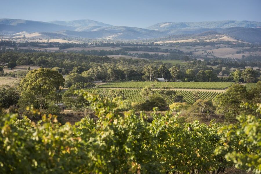 From Melbourne: Yarra Valley Chandon Cheese & Kangaroos Tour - Small details that can improve your day