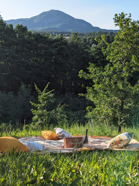 From Parma/Cinque Terre: Truffle & Parmesan Picnic (Tasting) - Key points to know before booking