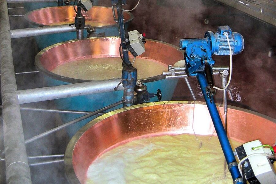From Parma: Parmesan, Parma Ham & Balsamic Vinegar Tour - Langhirano and the making of Parma ham