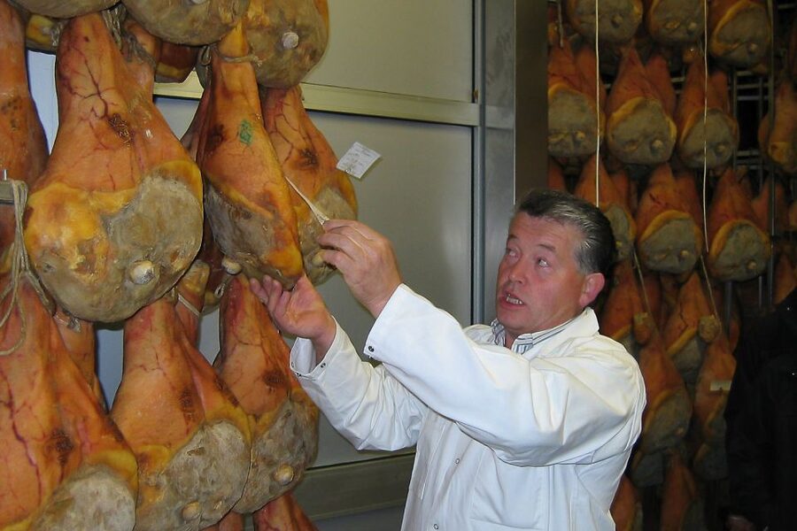 From Parma: Parmesan, Parma Ham & Balsamic Vinegar Tour - What the guide adds