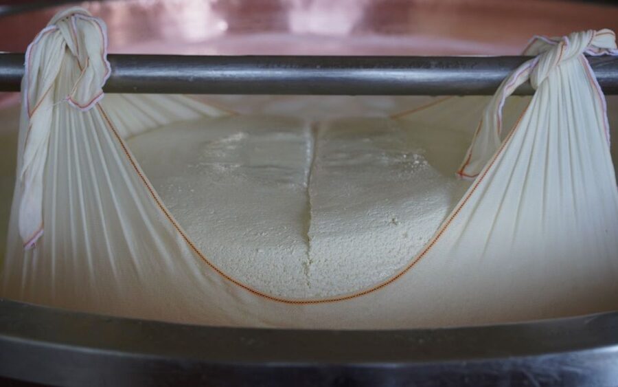 From Parma: Parmigiano and Parma Ham Guided Food Tour - Why Parma’s Food Factories Matter