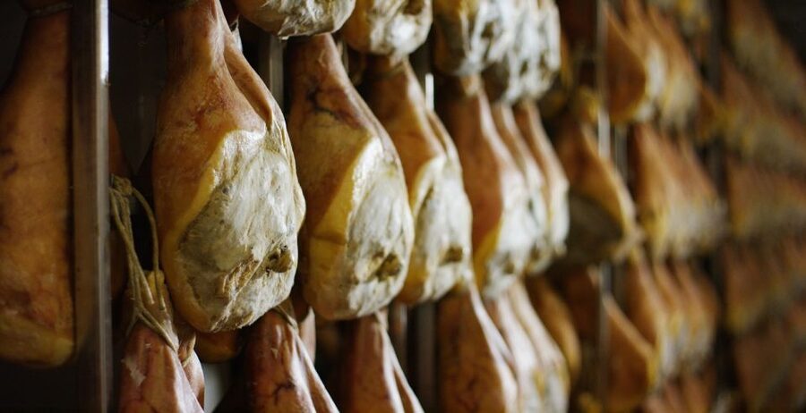 From Parma: Parmigiano and Parma Ham Guided Food Tour - What the $134.81 Price Covers