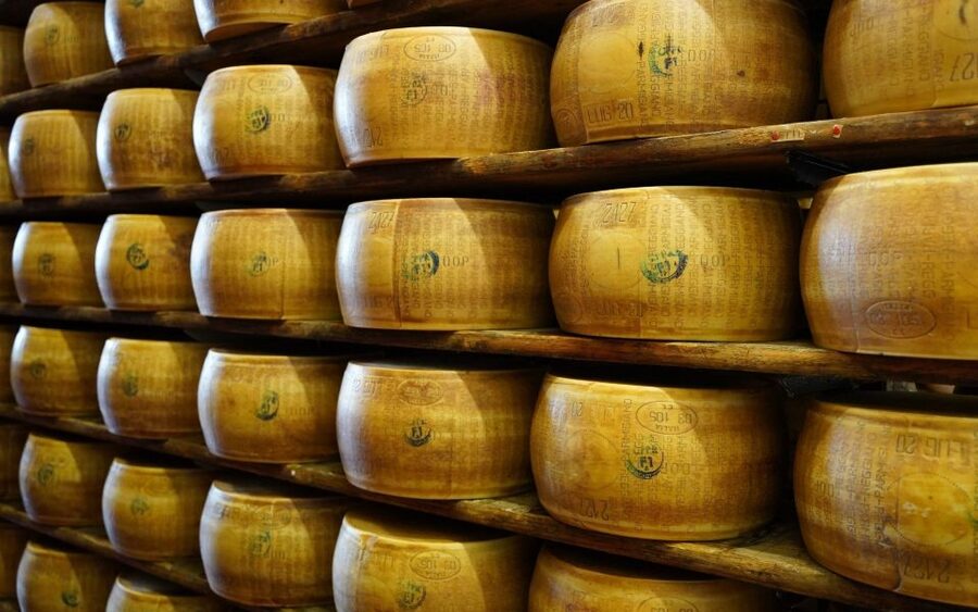 From Parma: Parmigiano and Parma Ham Guided Food Tour - Timing, Shoes, and Mobility