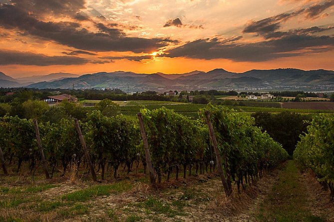 From Parma: Parmigiano,Prosciutto and winery Tour and tasting - Who should book this day from Parma?