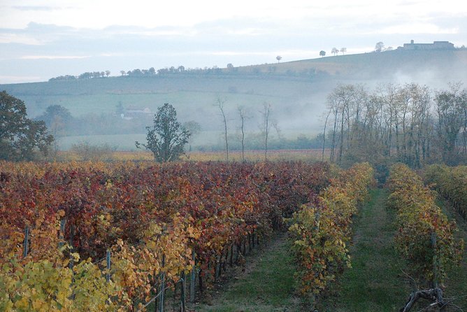 From Parma: Parmigiano,Prosciutto and winery Tour and tasting - My practical take on the strongest and weakest points